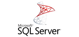 Microsoft SQL Server Logo